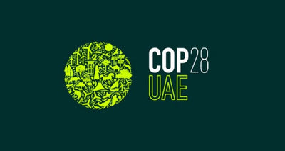 Conferência Global COP 28: Rumo à Sustentabilidade e Engajamento da Denovo Shoes